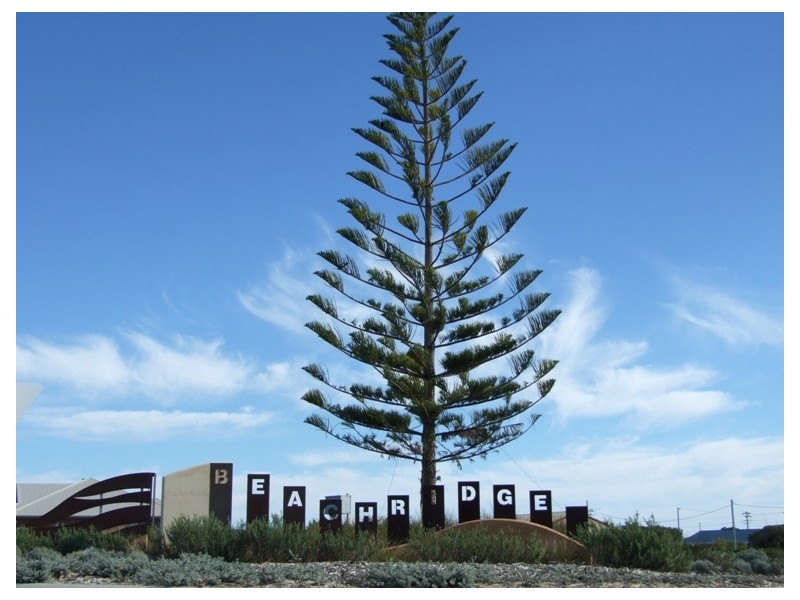 41 (LOT 812) MEELUP DRIVE, Jurien Bay WA 6516