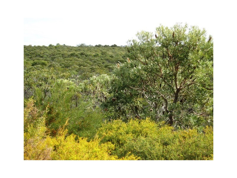 LOT 16 WREN WAY, Jurien Bay WA 6516