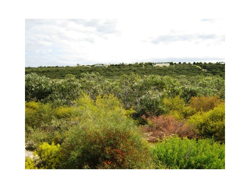 LOT 16 WREN WAY, Jurien Bay WA 6516