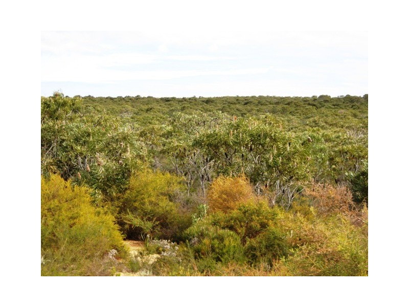LOT 16 WREN WAY, Jurien Bay WA 6516