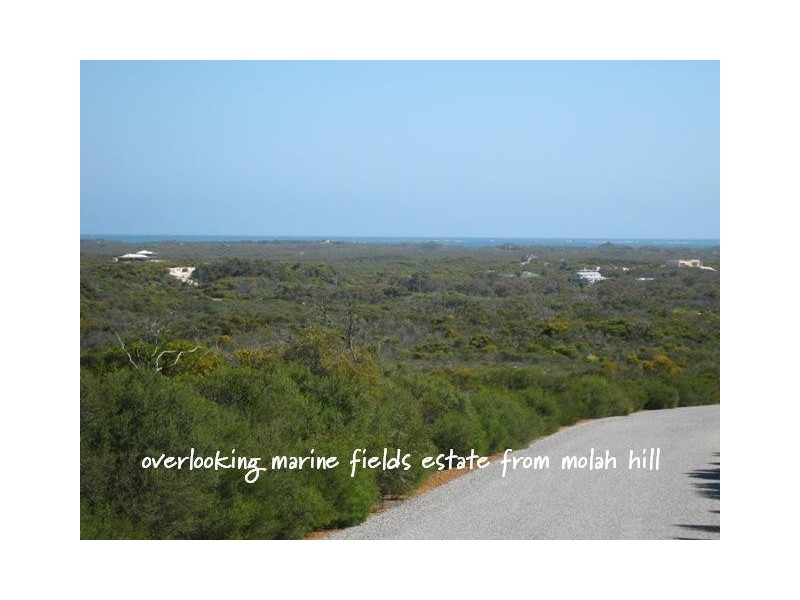 LOT 111 HOMESTEAD LOOP, Jurien Bay WA 6516