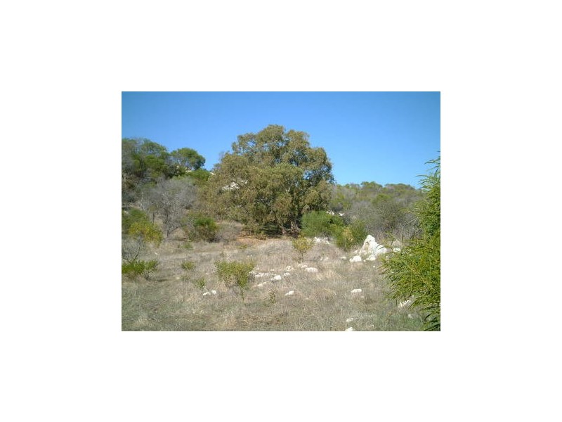 LOT 105 HOMESTEAD LOOP, Jurien Bay WA 6516