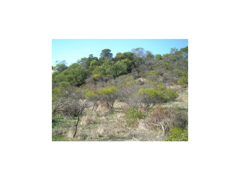 LOT 105 HOMESTEAD LOOP, Jurien Bay WA 6516