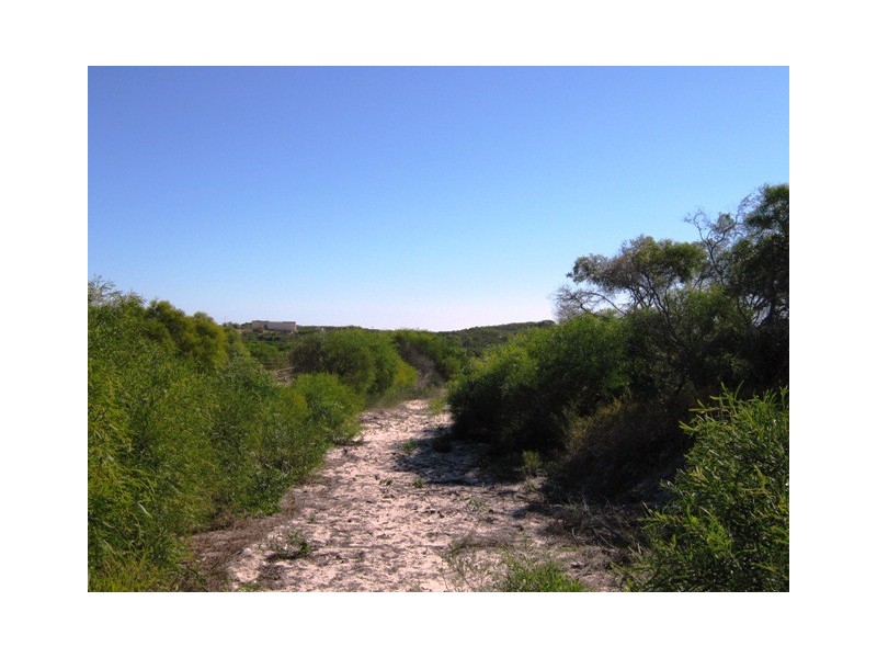 LOT 107 HOMESTEAD LOOP, Jurien Bay WA 6516