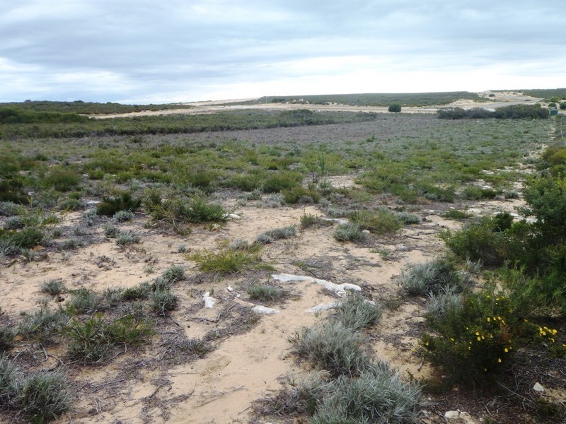 LOT 177 JURIEN BAY VISTA, Jurien Bay WA 6516