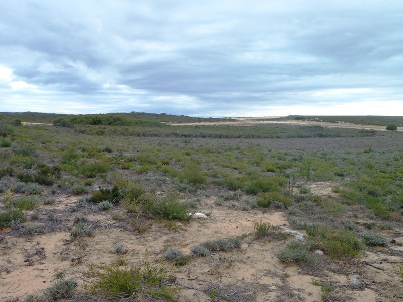 LOT 177 JURIEN BAY VISTA, Jurien Bay WA 6516