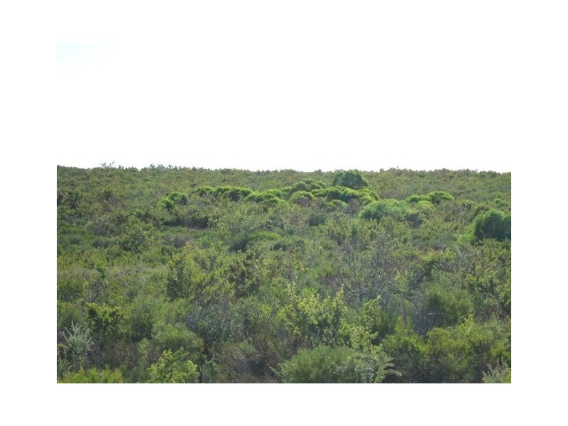 LOT 211 RIDGE WAY, Jurien Bay WA 6516