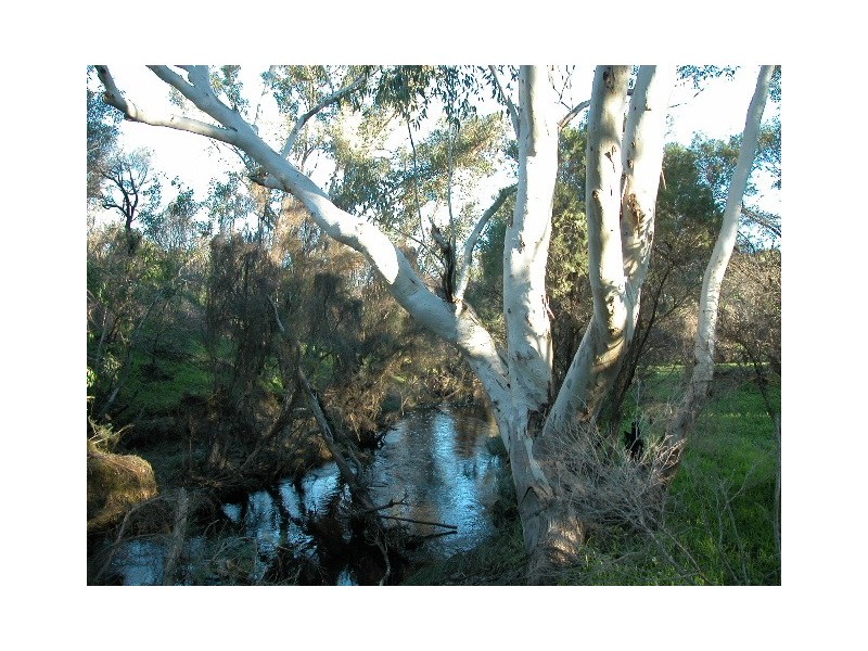 L 25 RIVER LOOP, Jurien Bay WA 6516