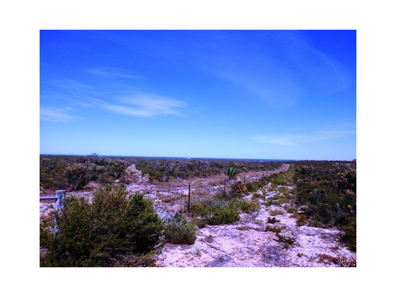 28 (LOT 202) PREMIER DRIVE, Jurien Bay WA 6516