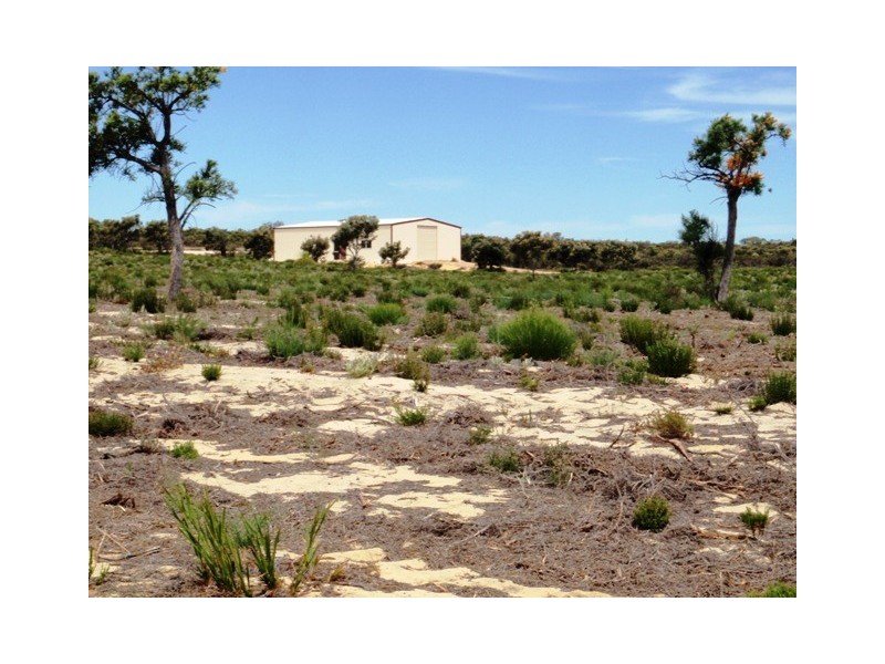 LOT 306 PREMIER DRIVE, Jurien Bay WA 6516