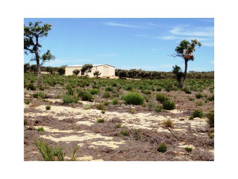 LOT 306 PREMIER DRIVE, Jurien Bay WA 6516