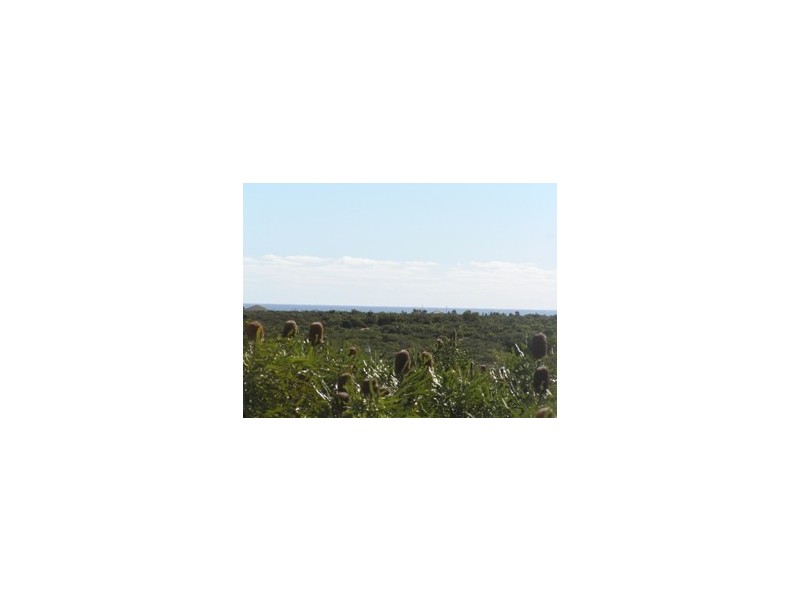 LOT 306 PREMIER DRIVE, Jurien Bay WA 6516