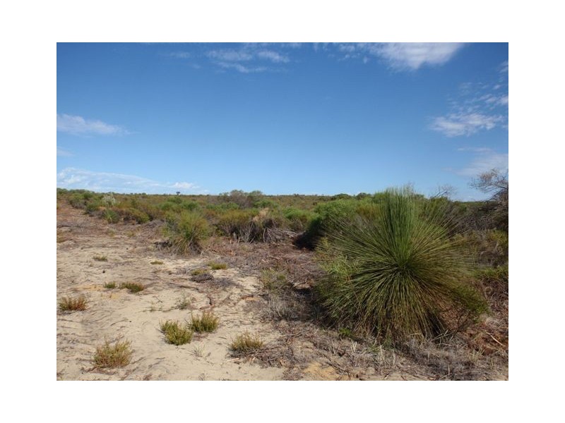 LOT 65 RIVER LOOP, Jurien Bay WA 6516