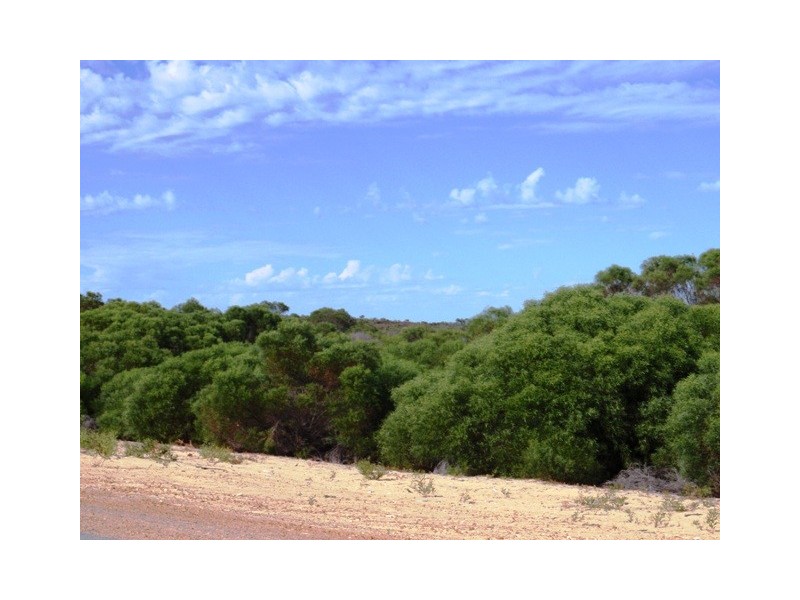 LOT 65 RIVER LOOP, Jurien Bay WA 6516