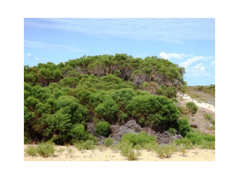 LOT 65 RIVER LOOP, Jurien Bay WA 6516