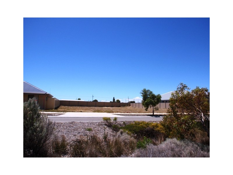 14 (LOT 566) Dryandra Boulevard, Jurien Bay WA 6516