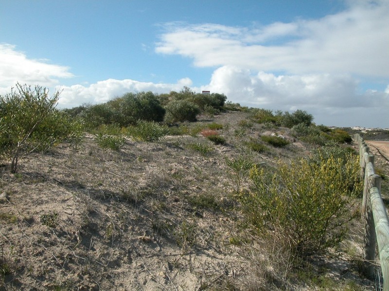 LOT 138 MARINE DRIVE, Jurien Bay WA 6516