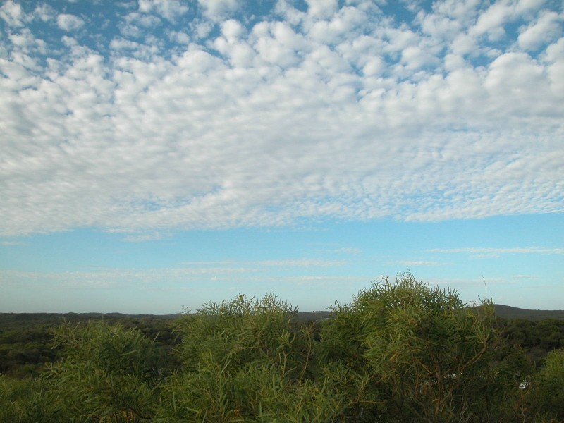 LOT 138 MARINE DRIVE, Jurien Bay WA 6516