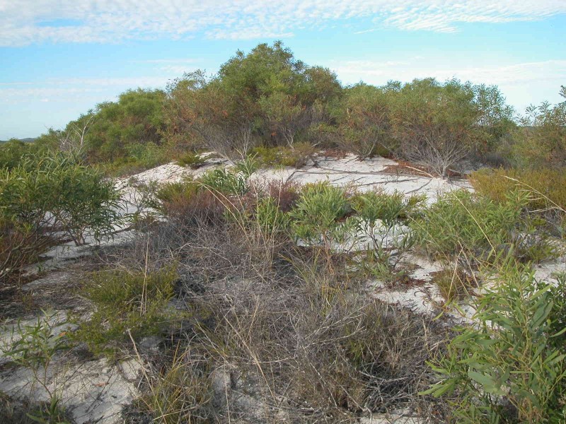 LOT 138 MARINE DRIVE, Jurien Bay WA 6516