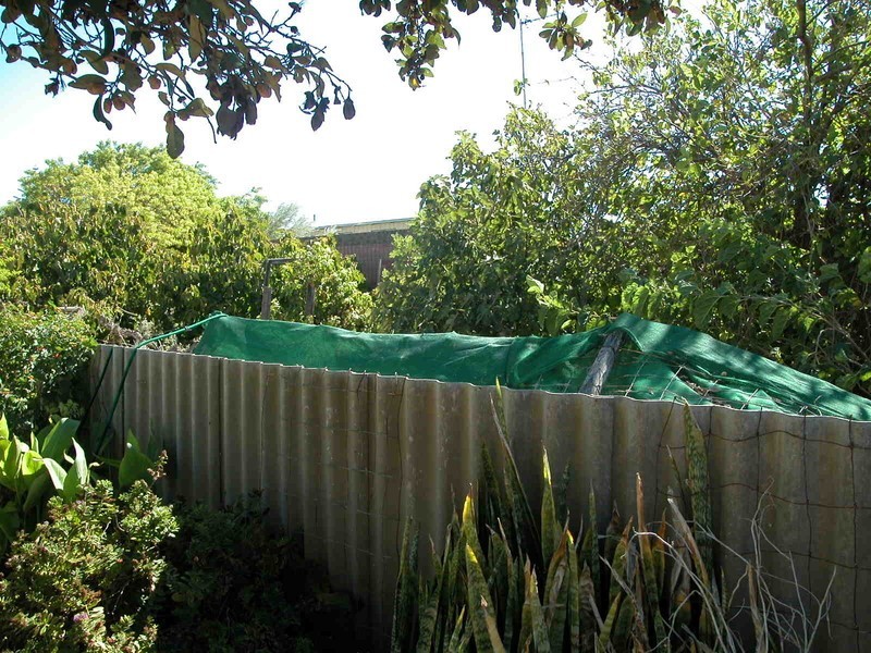 42 LESUEUR DRIVE, Jurien Bay WA 6516