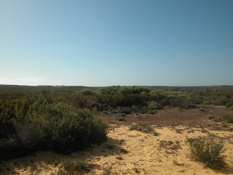 Lot 409 Jurien Bay Vista, Jurien Bay WA 6516