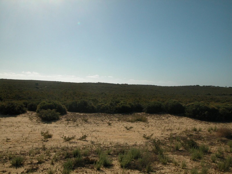 Lot 409 Jurien Bay Vista, Jurien Bay WA 6516