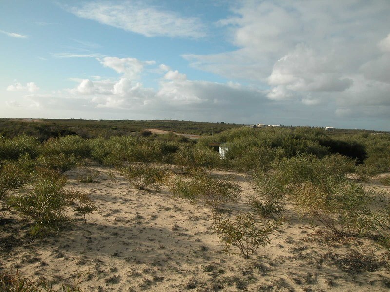 LOT 80 RIDGE WAY, Jurien Bay WA 6516