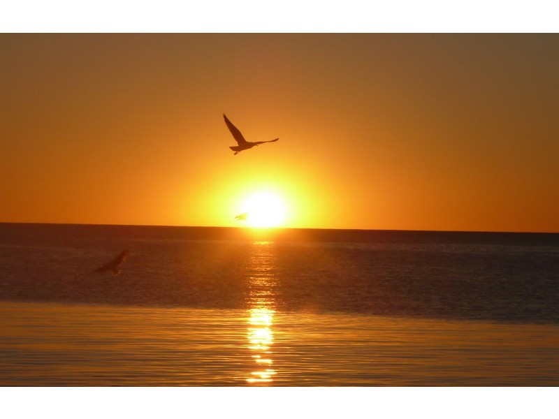 Stage 3 South Bay, Green Head WA 6514