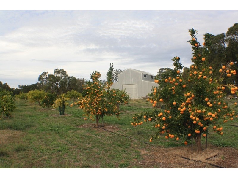 LOT 2 CANTABILLING ROAD, Jurien Bay WA 6516