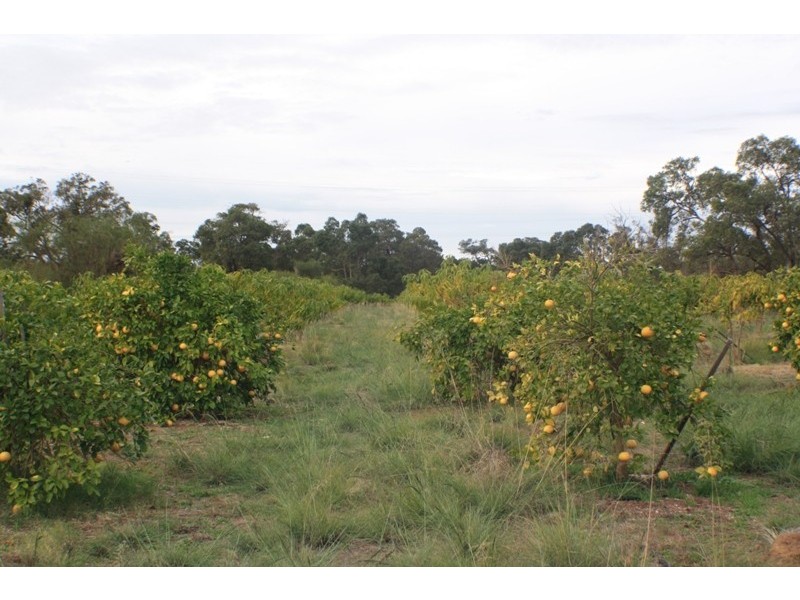 LOT 2 CANTABILLING ROAD, Jurien Bay WA 6516