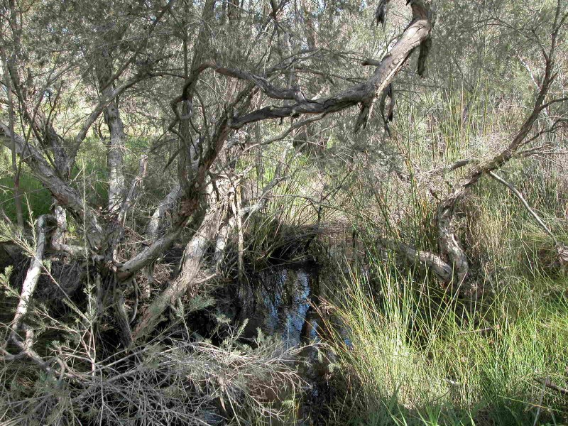 LOT 2 CANTABILLING ROAD, Jurien Bay WA 6516