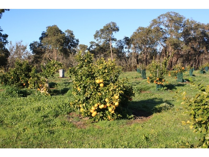 LOT 2 CANTABILLING ROAD, Jurien Bay WA 6516