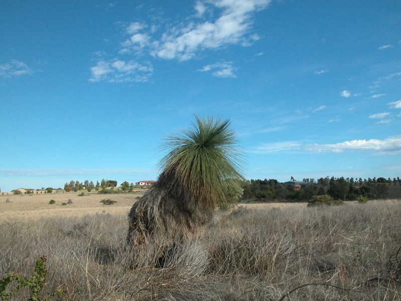 LOT 83 CAMBEWARRA DRIVE, Jurien Bay WA 6516