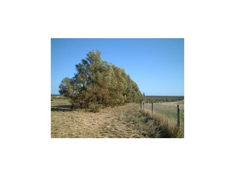 LOT 25 GERONIMO and Crn. CAMBEWARRA CRESCENT, Jurien Bay WA 6516