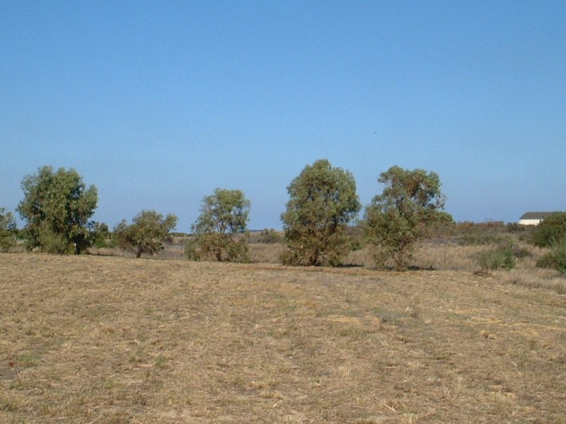 LOT 25 GERONIMO and Crn. CAMBEWARRA CRESCENT, Jurien Bay WA 6516