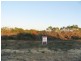 LOT 31 RIVER LOOP, Jurien Bay WA 6516