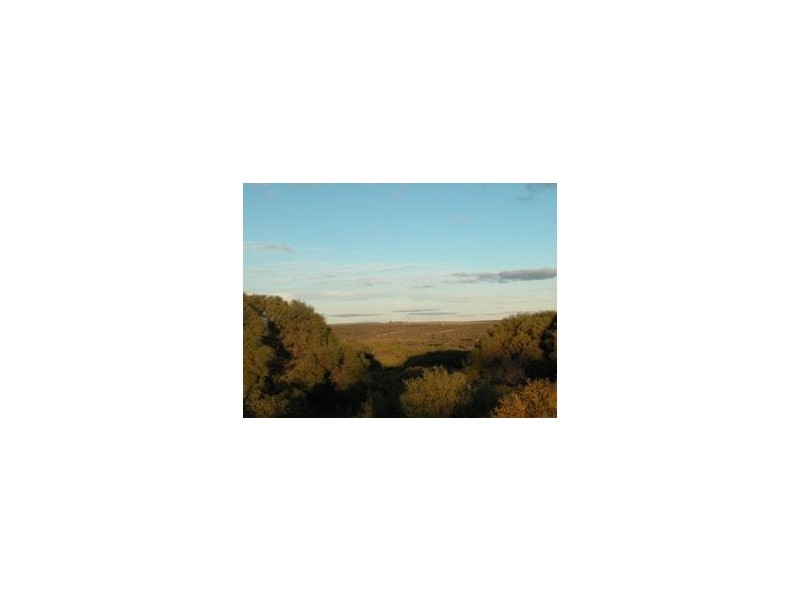 LOT 31 RIVER LOOP, Jurien Bay WA 6516