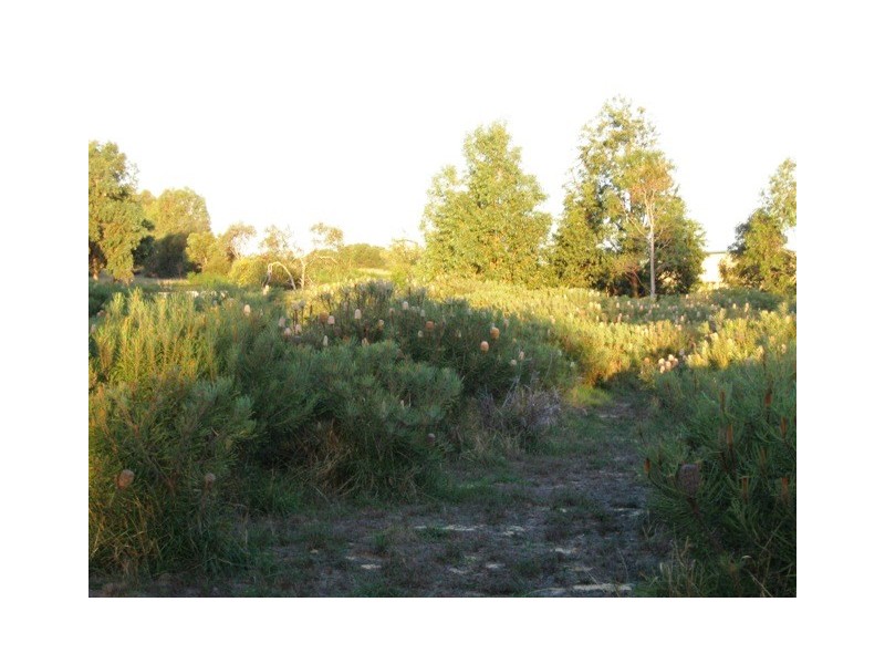 77 GERONIMO CRESCENT, Jurien Bay WA 6516