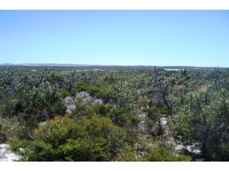 LOT 313 EMMA COURT, Jurien Bay WA 6516