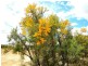 LOT 67 CAMBEWARRA DRIVE, Jurien Bay WA 6516