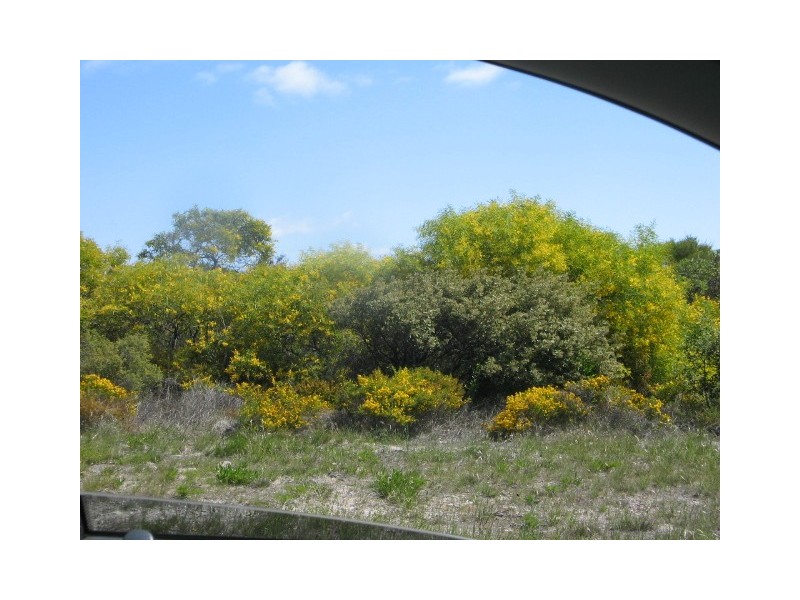 LOT 7 WHISTLER CRESCENT, Green Head WA 6514