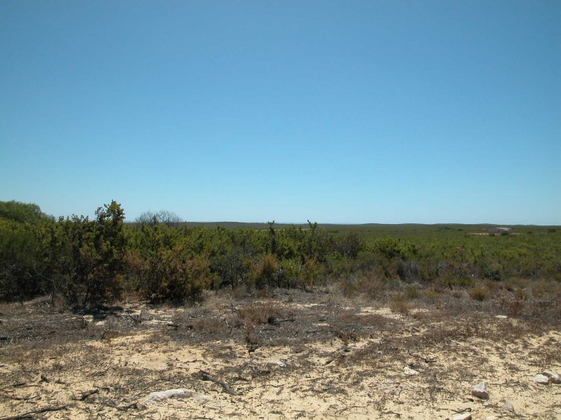LOT 206 RIDGE WAY, Jurien Bay WA 6516