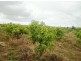 LOT 102 JURIEN BAY VISTA, Jurien Bay WA 6516