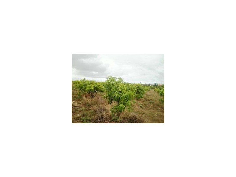 LOT 102 JURIEN BAY VISTA, Jurien Bay WA 6516