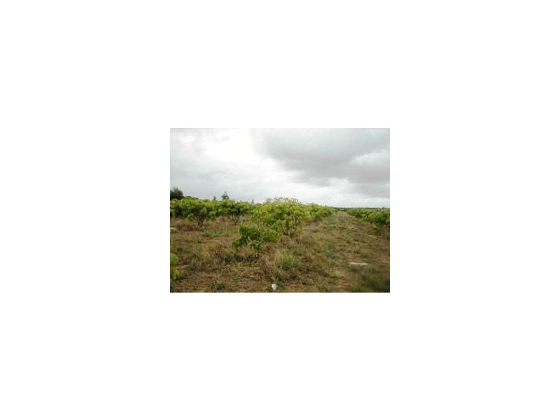 LOT 102 JURIEN BAY VISTA, Jurien Bay WA 6516