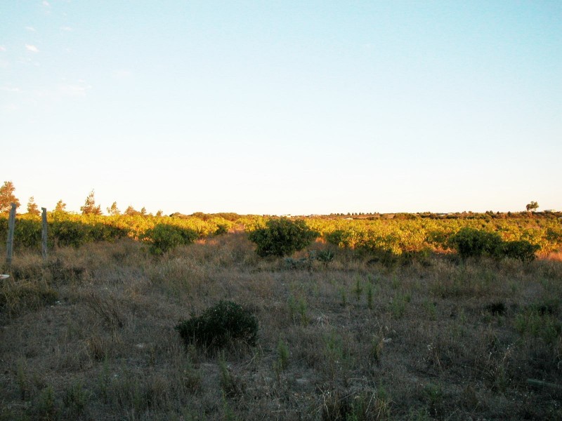 LOT 102 JURIEN BAY VISTA, Jurien Bay WA 6516