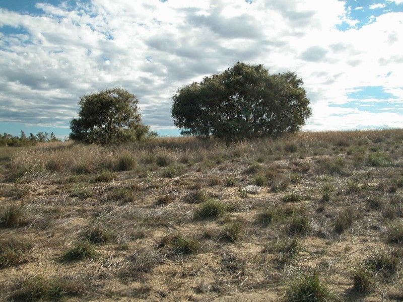 LOT 83 CAMBEWARRA DRIVE, Jurien Bay WA 6516
