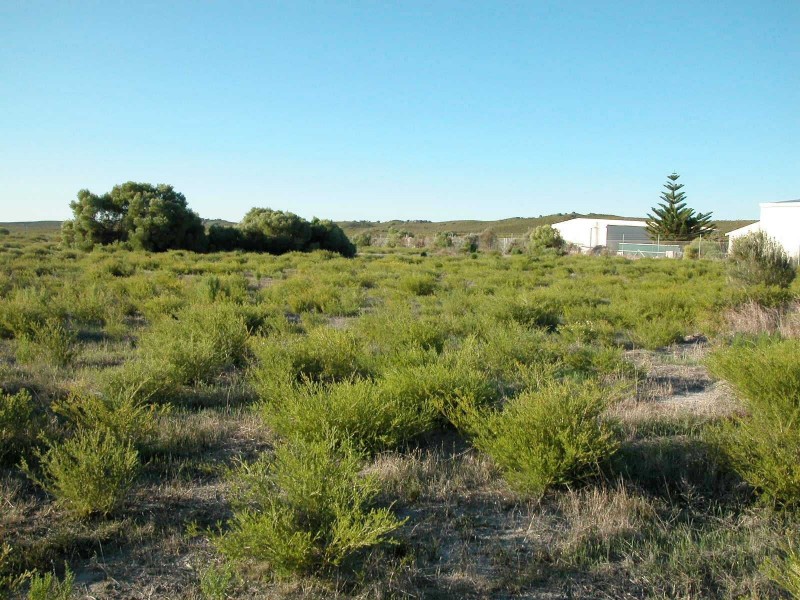 3 ZIRCON STREET, Jurien Bay WA 6516