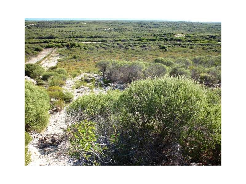 29 INDIAN OCEAN DRIVE, Jurien Bay WA 6516