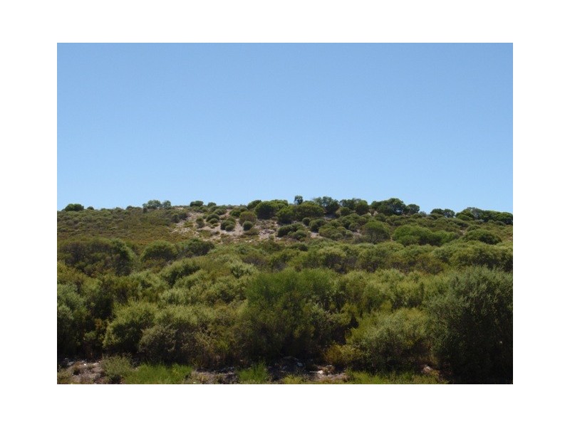 29 INDIAN OCEAN DRIVE, Jurien Bay WA 6516